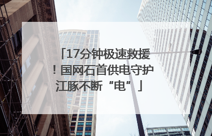 17分钟极速救援！国网石首供电守护江豚不断“电”