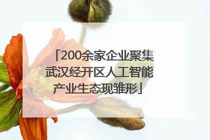 200余家企业聚集 武汉经开区人工智能产业生态现雏形