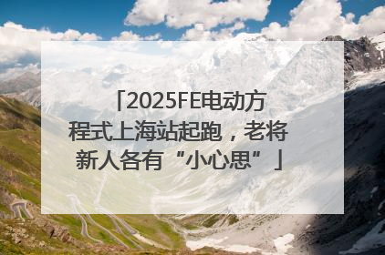 2025FE电动方程式上海站起跑，老将新人各有“小心思”