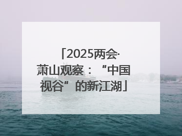 2025两会·萧山观察：“中国视谷”的新江湖
