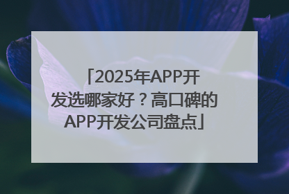 2025年APP开发选哪家好？高口碑的APP开发公司盘点