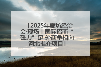 2025年廊坊经洽会·现场丨国际招商“磁力”足 外商争相向河北推介项目