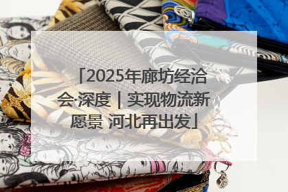 2025年廊坊经洽会·深度｜实现物流新愿景 河北再出发