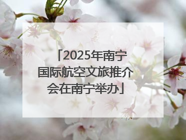 2025年南宁国际航空文旅推介会在南宁举办