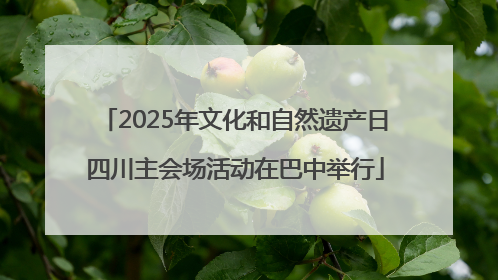 2025年文化和自然遗产日四川主会场活动在巴中举行