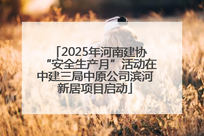 2025年河南建协“安全生产月”活动在中建三局中原公司滨河新居项目启动