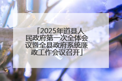 2025年道县人民政府第一次全体会议暨全县政府系统廉政工作会议召开