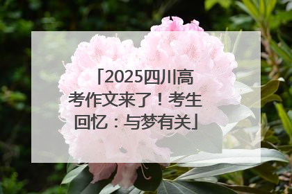 2025四川高考作文来了！考生回忆：与梦有关