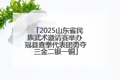 2025山东省民族武术邀请赛举办 冠县查拳代表团勇夺三金二银一铜