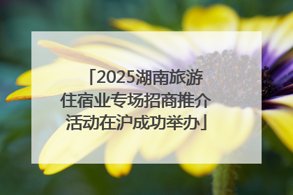 2025湖南旅游住宿业专场招商推介活动在沪成功举办