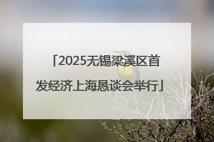 2025无锡梁溪区首发经济上海恳谈会举行