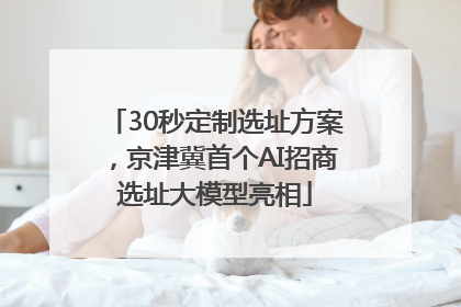 30秒定制选址方案，京津冀首个AI招商选址大模型亮相