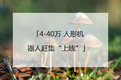 4-40万 人形机器人赶集“上线”