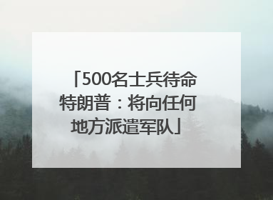 500名士兵待命 特朗普：将向任何地方派遣军队