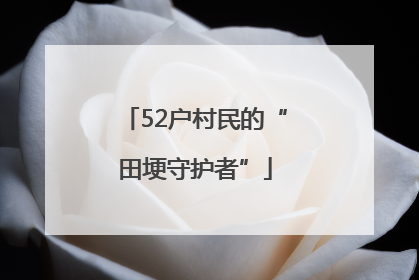 52户村民的“田埂守护者”