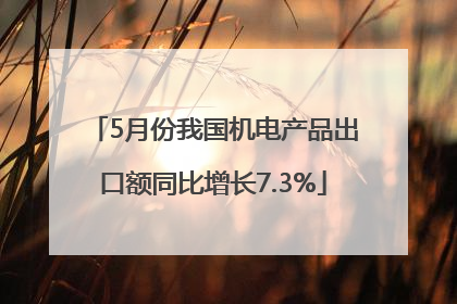 5月份我国机电产品出口额同比增长7.3%