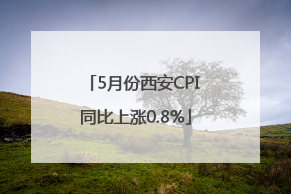 5月份西安CPI同比上涨0.8%