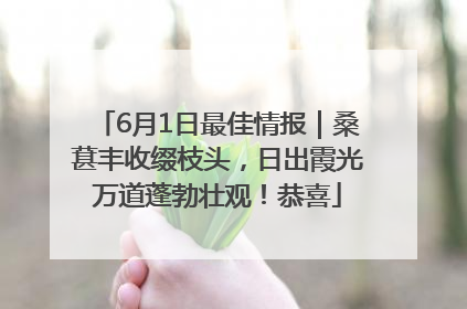 6月1日最佳情报｜桑葚丰收缀枝头，日出霞光万道蓬勃壮观！恭喜