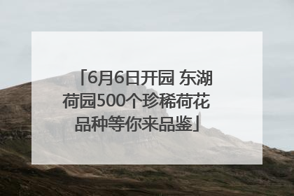 6月6日开园 东湖荷园500个珍稀荷花品种等你来品鉴