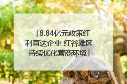 8.84亿元政策红利直达企业 红谷滩区持续优化营商环境