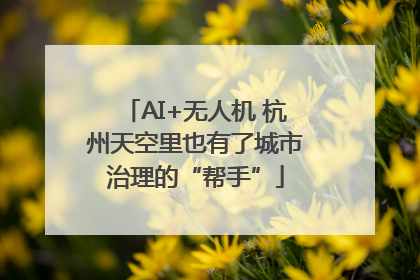 AI+无人机 杭州天空里也有了城市治理的“帮手”