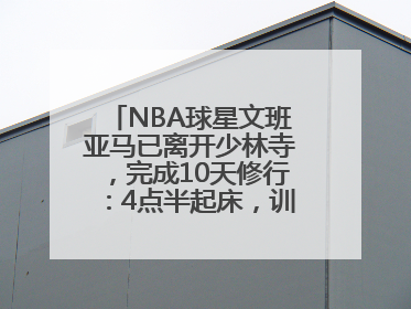 NBA球星文班亚马已离开少林寺，完成10天修行：4点半起床，训练强度高于武僧