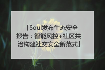 Soul发布生态安全报告：智能风控+社区共治构建社交安全新范式