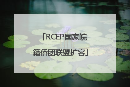 RCEP国家皖籍侨团联盟扩容